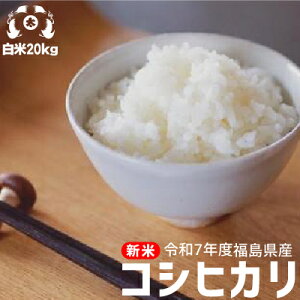 ߘa7Nx@Y@RVqJ@20kg yz20kg 20kg Ή  20kg 