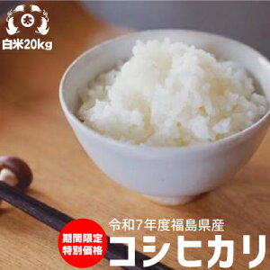 ҏEő1000~OFFN[|s Ԍ 20kg    R  @RVqJ@20kg ߘa7Nx@Y