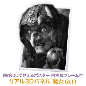 LEDƎ|X^[plyA3DpliA1TCYjzp n[EB nEB[ z[ |X^[t[ Vo[ A~t[ lӃpJpJJ ǌŒ Ǌ| яo