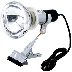 X|bgCgEIvVCgyCH-300Szylzsz