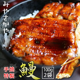 うなぎ蒲焼き（真空パック） 2串　山形　みやさかや　　大人気 お試し　川魚　鯉 簡単　便利 おつまみ うな重　おみやげ ストック 時短 働くママ お弁当 おかず クール宅急便 ギフトにも 仕送り のし対応　おそうざい