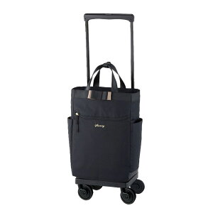 y|Cg10{zSWANY Xj[ ohlll D640 L21 4փXgbp[ 75~_XgK[hLX^[ 2way@nhobO@g[gobO@L[obO@fB[X@s@@@