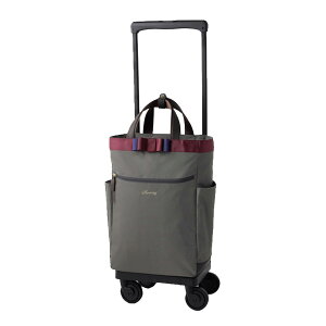 y|Cg10{zSWANY Xj[ ohlll D640 L21 4փXgbp[ 75~_XgK[hLX^[ 2way@nhobO@g[gobO@L[obO@fB[X@s@@@