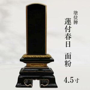 yʔvzhʔv @tt ʕ 4.5