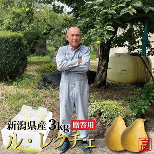 y\tzN`F m Gi p 3kg (7`8) YҁE_ VY Ε Mtg 蕨 i 