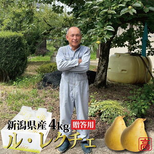 y\tzN`F m Gi p 4kg (9`10) YҁE_ VY Ε Mtg 蕨 i 