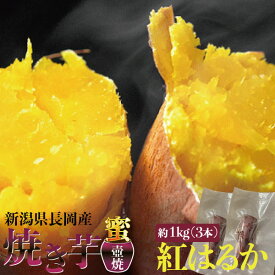 焼き芋 紅はるか 新潟県産 真空冷凍 約1kg 3本セット さつまいも サツマイモ 国産 冷焼き芋 スイーツ 内祝い 御歳暮 送料無料