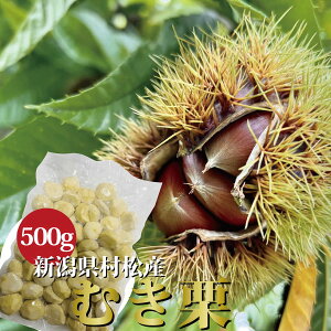 yVYz_Ƃ񂪈Jɔ ނI 500g Ⓚ ^ I͂ u َq  ޗ Y 