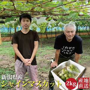 VY VC}XJbg Gi p 2kg (4[) YҁEz[}[_ Yn   Mtg 蕨 i 