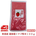 いちご 粉末 越後姫 完熟 新潟産100g 1個 甘い 糖度が高い ストロベリー 苺 イチゴ粉末 いちご粉 イチゴ粉 パウダー …