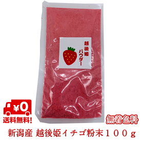 いちご 粉末 越後姫 完熟 新潟産100g 1個 甘い 糖度が高い ストロベリー 苺 イチゴ粉末 いちご粉 イチゴ粉 パウダー セラミカ 熟成乾燥 ケーキ 材料 ダシ 国産 無添加