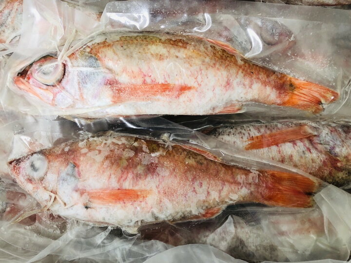 楽天市場 韓国産 高級魚 のどぐろ 2尾セット 300 400gののどぐろを1尾ずつ真空冷凍 高級魚 のどぐろ ノドグロ 冷凍 セット 海の幸 お取り寄せ 送料無料 テイストジャパン
