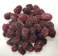 新潟で初めて無農薬 オーガニックに成功した ボイセンベリー 500g【国産 ボイセンベリー ボイズンベリー …