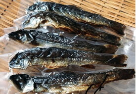 楽天市場 岩魚の通販