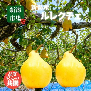 N`F m Gi p Vs  VY Ε Mtg 蕨 i 