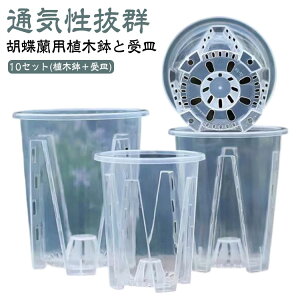 Aؔ 10Zbg  Aؔ  t vX`bN ̔ Ӓ m Mt  O Ӓ̐Aւ I[Lbh|bg ϗtA A c|bg v^[ ۈ牀