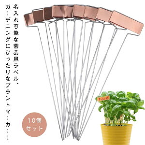 10Zbg | x  v[g XeXr ~j`Avcx10Zbg Rp[~j`Ax |l[x |px vg}[J[ Ax K[f