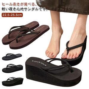  ɂȂ  fB[X gOT_ T_ ̎q ^Ep y q[ ₷  r r[T W[p C p Sn 킢  y ~ r[