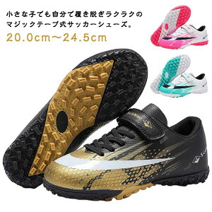 WjA }WbNe[v TbJ[V[Y WjA ~ ʋC  TF LbY g[jOV[Y {[V[Y y w ϖ w qC jp tbgT Xj[J[ 