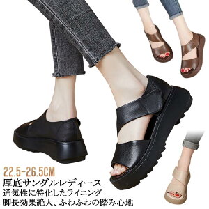 T_ gȌT_ fB[X t 5cm ₷ lԍHw yʐ݌v ~ r ʋC JWAV[Y L  EH[LOV[Y fB[X Od 