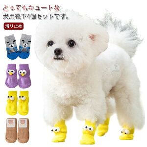 C \bNX ЊQ nC\bNX h ybgp  ~ ~ߕt V pC ̌C ی h~  ی  4Zbg h~ 4Zbg nr VjA t