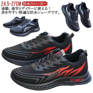 Xj[J[ y h ʊw  Xj[J[ ₷ h hV[Y  Ռz Z ʋ WjA Y w fB[X EH[LOV[Y ʊwC ~J΍ ubN j