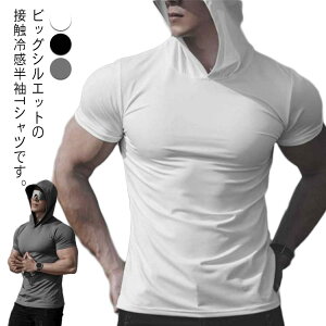 tVc Y t[ht tVc t[httVc p[J[  vI[o[ gbvX Vv 傫TCY  Jbg\[ X|[c JWA [EFA _X v