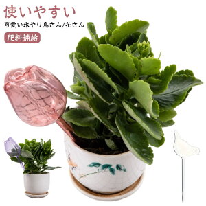  A   A ϗtA   Aؔ |pi vX`bN s o 璆S Mtg K[fjO |pi } 킢 ^ Ԍ^ 