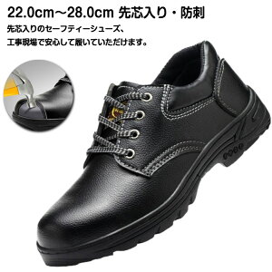 ƌC SC |c U[ v Y fB[X jp ȂC ׂɂ SC  ZteB[V[Y ƌC ܐK[h 