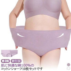 nCEFXg nk΍ Rbg  s fB[X ЊQpi 10Zbg  p   gx ĝăpc o COs ĝ ^ ЊQ R Ci[ 펞 Օi 