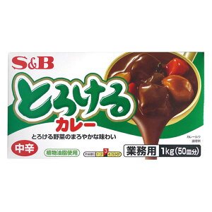 Ƃ낯J[hA21kgiŌ`j@SB@J[@m@y퉷HizyƖpHށz