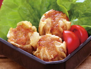 lHijpイ܂15gx50@lHi@ؗ@Ĕ@ؗ@yⓀHizyƖpHށzy10800~ȏőz