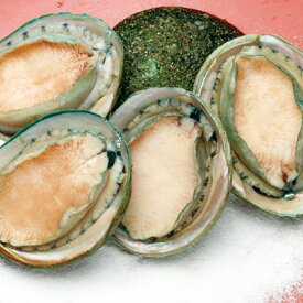 楽天市場 冷凍食品 生産国オーストラリア 魚介類 水産加工品 食品 の通販