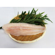 極洋）シーパラダイス パンガシウス（バサ） 1kg（4枚）　1kg（4枚入）　極洋　パンガシウス　バサ　フィ…