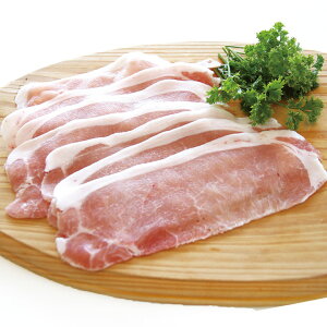 j؃[XXCX500g@@؁@؁@ށ@yⓀizyƖpHށz[10800~ȏő]