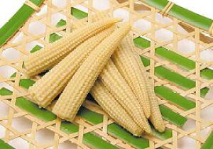 OR[3ʁ@R[@ؗށy퉷HizyƖpHށz