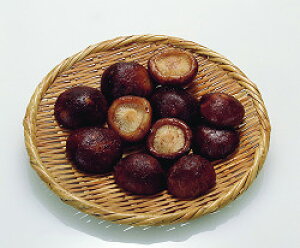 ⓀőS500g őÊ ؗ yⓀHizyƖpHށzy10800~ȏőz