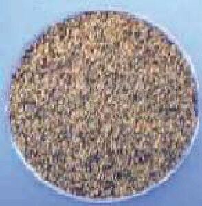 ubNybp[ieҁj420g@MoӞ@my퉷HizyƖpHށz