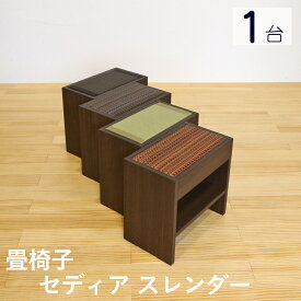 こうひん 日本製 畳椅子 和風スツール 『セディア スレンダー』 1台 単品 フレーム2色×畳4色から選べる 約 幅41cm 奥行24cm 高さ38cm 便利な荷物置き付き 背もたれなし