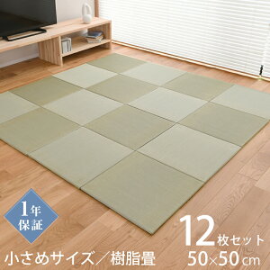 Ђ u    50cm×50cm 12 { wxb^ 50cm x ڐσO[ jbg   }bg   y   t[O rO a Vz