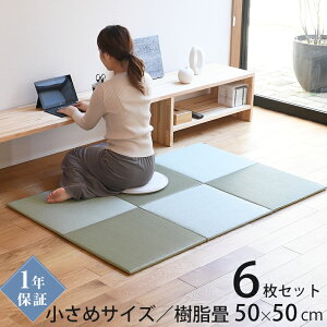 Ђ u    50cm×50cm 6 { wxb^ 50cm x ڐσO[ jbg   }bg   y   t[O rO a Vz 
