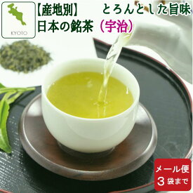 宇治茶【京都府】100g 日本茶 緑茶 ゆっくり急須で 水出しにも 旨みの煎茶