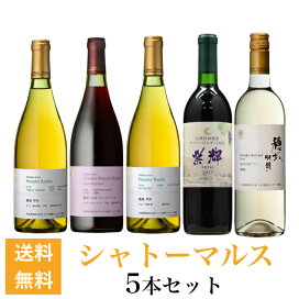 楽天市場】日本ワイン 赤ワイン 驚 ピノ・ノワール 2019 750ml 北海道 