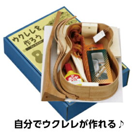 楽天市場 ウクレレ 手作り キットの通販