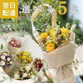 ドライフラワー ブーケ 花束 スワッグ 「エコバッグブーケ」プレゼント 誕生日 あす楽13時まで お祝い 結婚祝い 開店祝い 新築祝い ウエディング 結婚式 選べる5種類 インテリア 人気 おしゃれ ナチュラル ギフト 産地直送 壁掛け