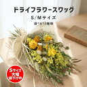 ＼ Sサイズ大幅値下げ中！／ドライフラワー インテリア ブーケ 「スワッグ S / M」 インテリア スワッグ ギフト 花束 誕生日 プレゼント 退職祝い 新築祝い 送別 結婚祝い 開店祝い 結婚式 あす楽 産地直送 選べる9種 壁掛け おしゃれ 蓼科プランツ