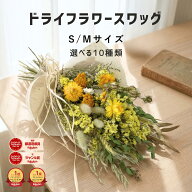 ドライフラワー インテリア ブーケ 「スワッグ S / M」 インテリア スワッグ ギフト 花束 誕生日 プレゼ…