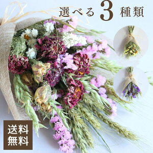 hCt[ XbO ԑ CeA u[P Mtg a Ƃ v[g ސEj Vzj  y13 uXbOSv Д_ Yn Iׂ3  i`