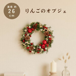 NX}X [X hCt[ v[g auXmas[XM 񂲁v a26cm Iׂ2 ȍ lC  i` CeA  j j JXj V