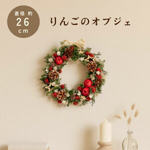 NX}X [X hCt[ v[g auXmas[XM 񂲁v a26cm Iׂ2 ȍ lC  i` CeA  j j JXj V